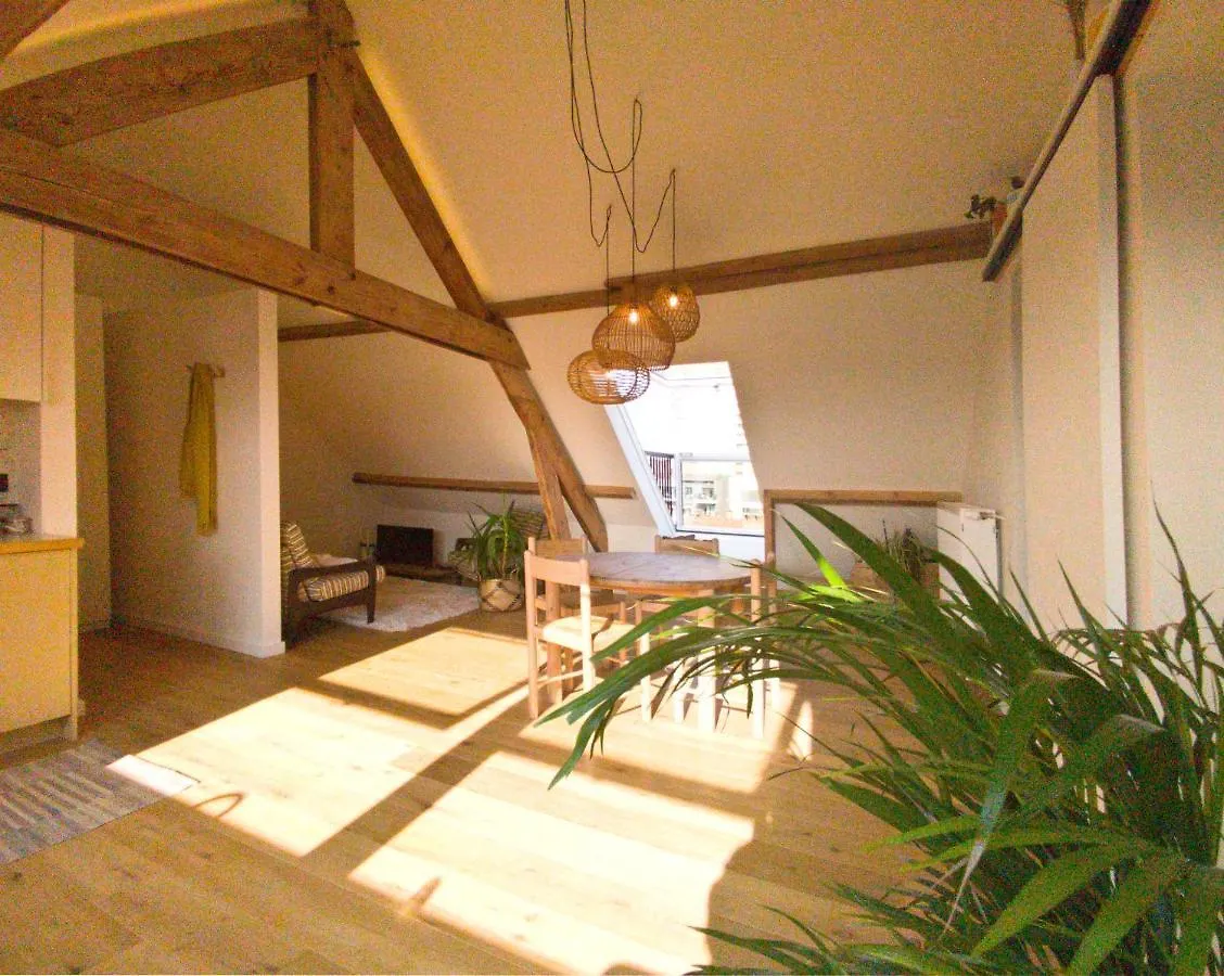 RUIMTEZICHT cosy appartement with sauna Oostende 0*,